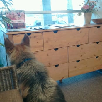 Inland Asset Management - My dog in the waiting area. - Property Management Near Me - Upland, California Inland Asset Management - My dog in the waiting area. - Property Management Near Me - Upland, California