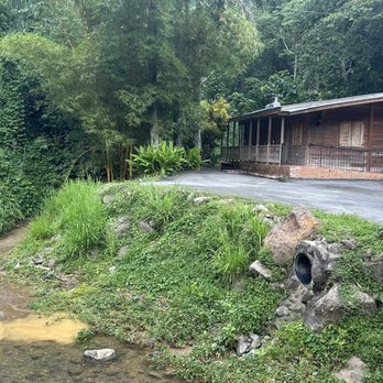 Hacienda Lealtad - Coffee Roasteries Near Me - Lares, Puerto Rico Hacienda Lealtad - Coffee Roasteries Near Me - Lares, Puerto Rico