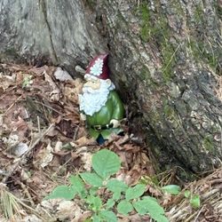 Sugar Ridge RV Village & Campground - I found you.