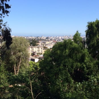 Mount Sutro - Civilization! - Parks Near Me - San Francisco, California