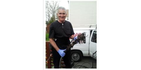 Slide of The Drain Medic