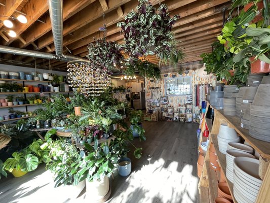 The Living Room by null