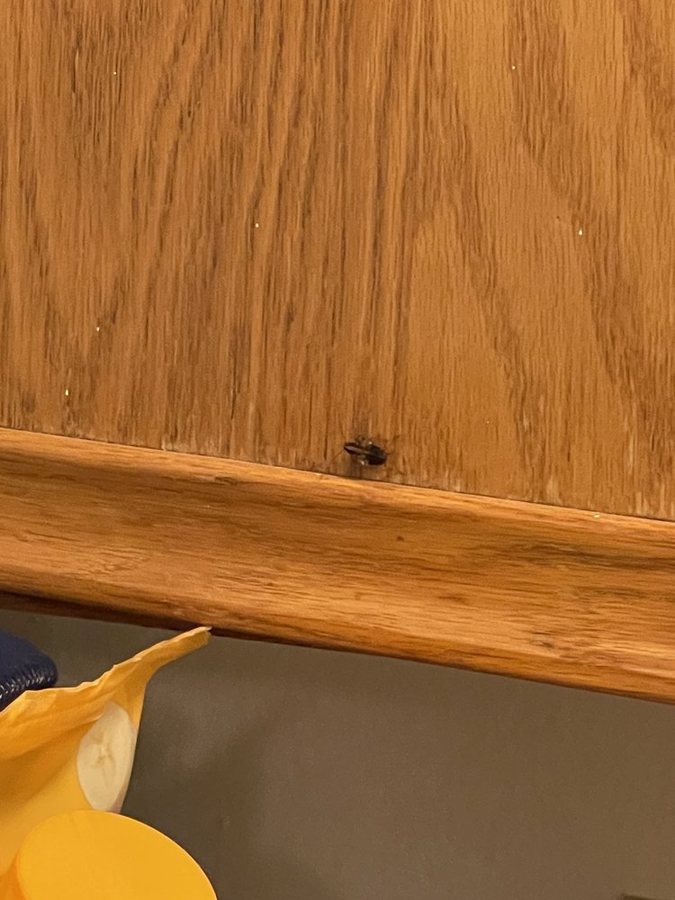 FOUNTAINHEAD APARTMENTS Updated October 2024 27 Photos 7617 Knox