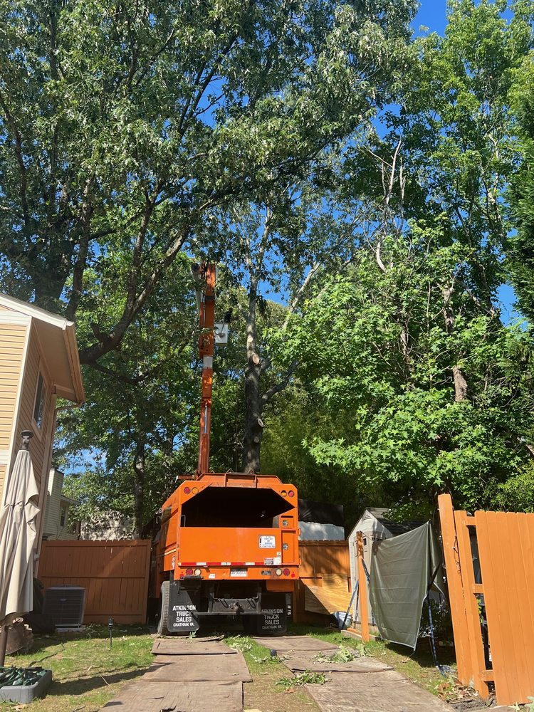 Eastern Tree Service - tree service in Virginia Beach, VA