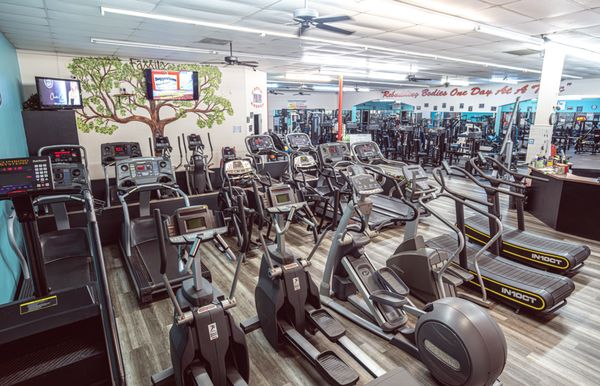 The Body Factory Health & Fitness Center by null