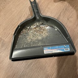 Golden Rule Cleaning & More