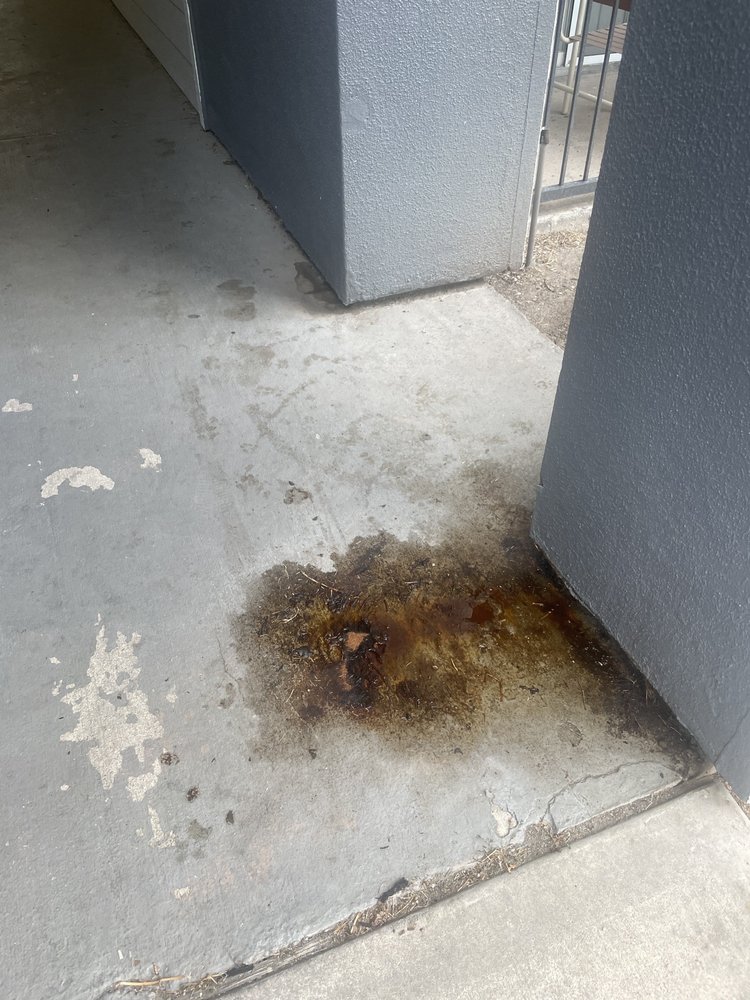 ESTATES AT BELLAIRE 23 Photos & 29 Reviews 4807 Pin Oak Park