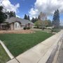 A&A Landscaping Co.