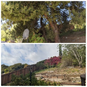 Paez Tree Service - Tree Services Near Me - Anaheim, California