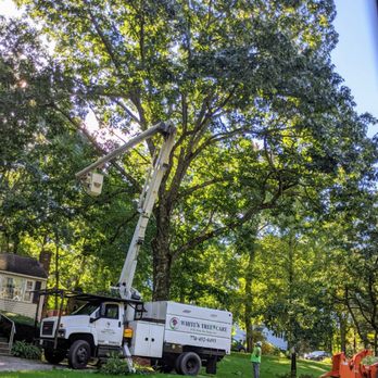 White's Tree Care - Beautiful day to trim trees! - Tree Services Near Me - Spencer, Massachusetts White's Tree Care - Beautiful day to trim trees! - Tree Services Near Me - Spencer, Massachusetts