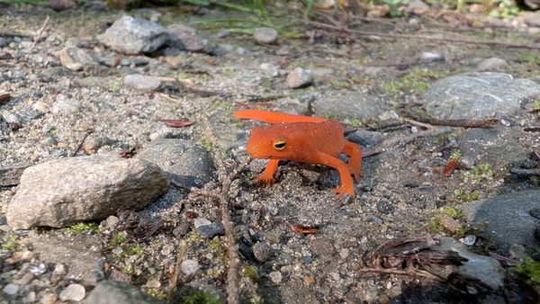 Billings Farm & Museum by null Billings Farm & Museum by null