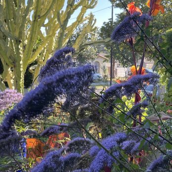 Holistic Gardening Company - Landscaping Near Me Holistic Gardening Company - Landscaping Near Me
