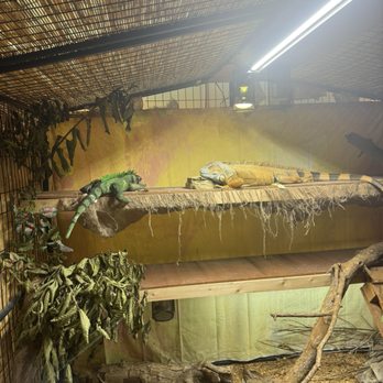 LLLReptile & Supply - Reptile Shops Near Me - Oceanside, California LLLReptile & Supply - Reptile Shops Near Me - Oceanside, California