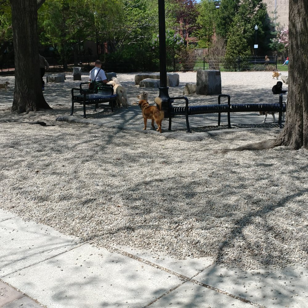 Peters Park - Peters Park in Boston, MA - Dog Parks Near Me - Boston, Massachusetts Peters Park - Peters Park in Boston, MA - Dog Parks Near Me - Boston, Massachusetts