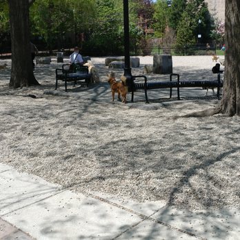 Peters Park - Peters Park in Boston, MA - Dog Parks Near Me - Boston, Massachusetts