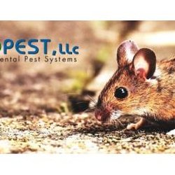 Eco Pest - Ecopest LLC
