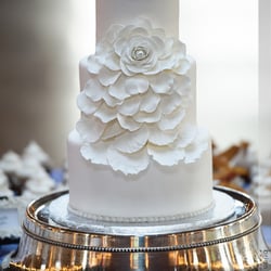 The Bakehouse - Our beautiful wedding cake. Inside it was tuxedo with raspberry filling.