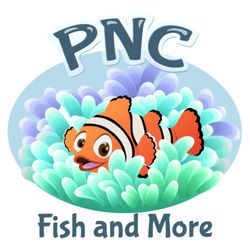 PNC Fish and More