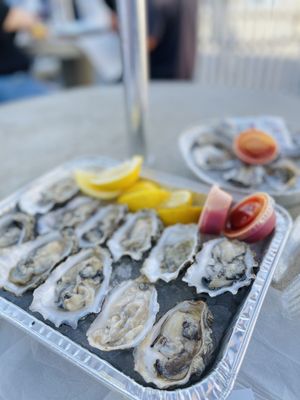 Quality Seafood Inc by null