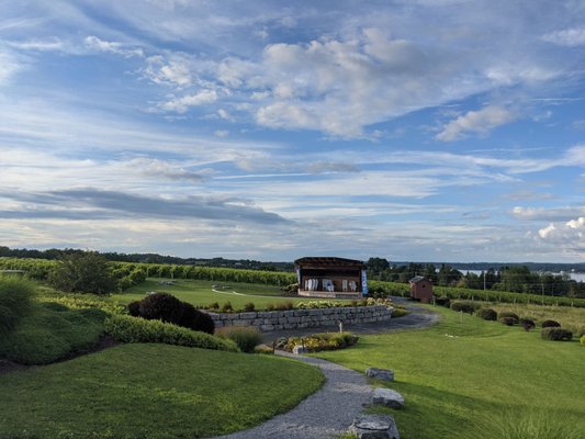 Anyela's Vineyards by null