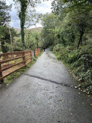 Connemara National Park by null