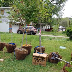 Irondale Farm Stand - Trees for sale!