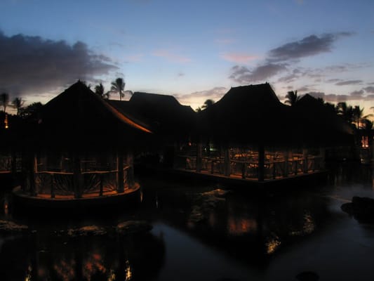 Humuhumunukunukuāpuaʻa by null