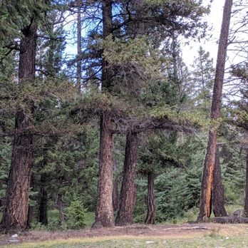Annette Lake - Lakes Near Me