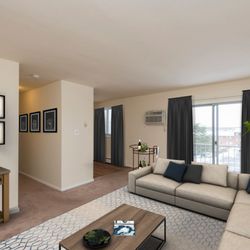 Belmont Village Apartments - One Bedroom Living Room