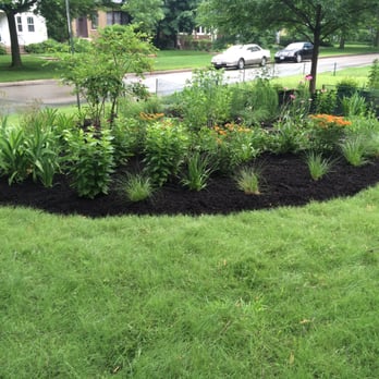 Logic Lawn Care - Buffalo Grass Lawn Alternative - Landscaping Near Me - Evanston, Illinois