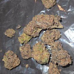 Green Acres - Beautiful purple bud....