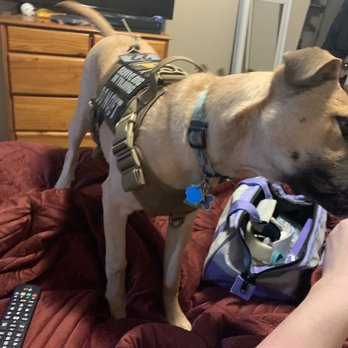 Tanner Clinic - Syracuse - First day with her new vest - Family Practice Near Me - Syracuse, Utah Tanner Clinic - Syracuse - First day with her new vest - Family Practice Near Me - Syracuse, Utah