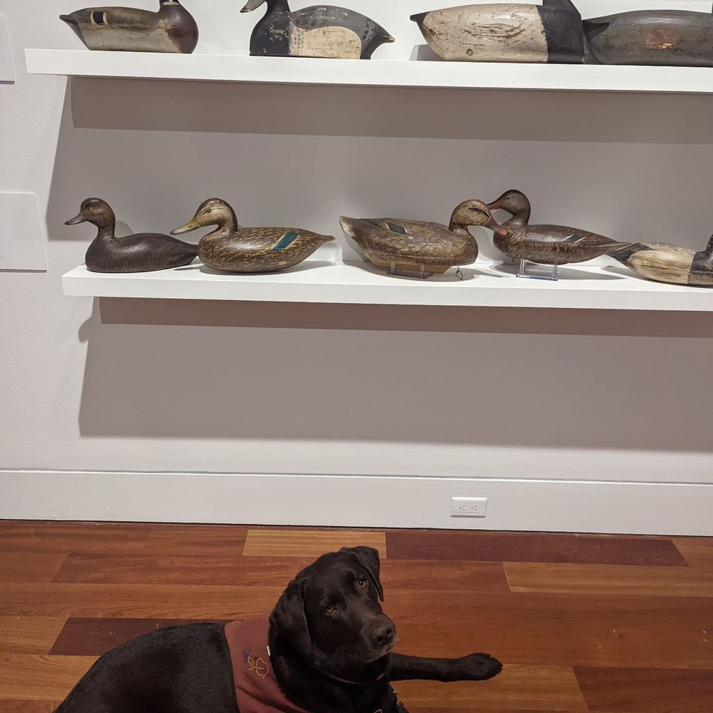 Cameron Art Museum - Art Museums Near Me - Wilmington, North Carolina Cameron Art Museum - Art Museums Near Me - Wilmington, North Carolina