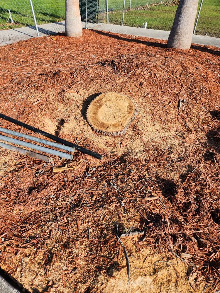 Slide of Greenbelt by Chdo