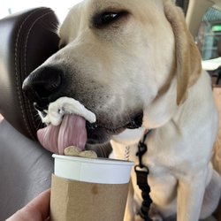 Packhouse Coffee Company