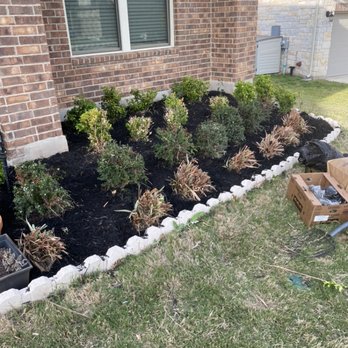 Almendarez Landscaping - Shrub trimming and new mulch laid down in customers flower bed. - Landscaping Near Me Almendarez Landscaping - Shrub trimming and new mulch laid down in customers flower bed. - Landscaping Near Me