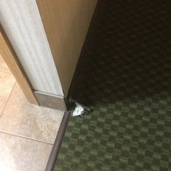 College Inn - Carpet w staples exposed - Hotels Near Me - Monmouth, Oregon