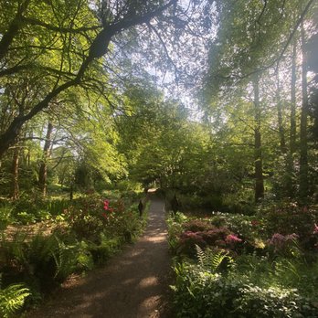 Durham University Botanic Garden - The Woodland Garden - Parks Near Me - Durham, DUR