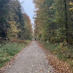 Perlacher Forst