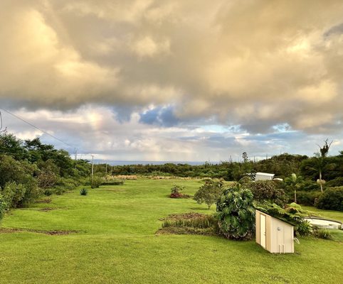 Puna Rainforest Retreat: Hot springs and steam vents by null