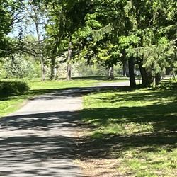 Friends Of Fluehr Park