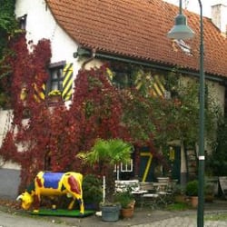 Bunte Kuh