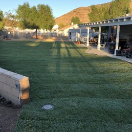 The backyard looking the other direction. The backyard looking the other direction.
