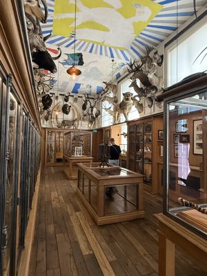 Museum of Hunting and Nature by null