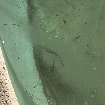 Blue Collar Pool Service - Grids ripped.. fixed and cleaned - Pool Cleaners Near Me