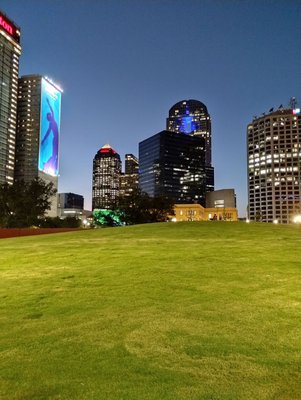 Carpenter Park by null