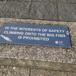 The Big Fish - The Big Fish, Belfast