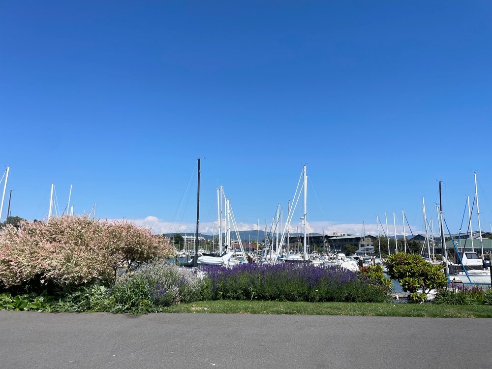 Zuanich Point Park Image