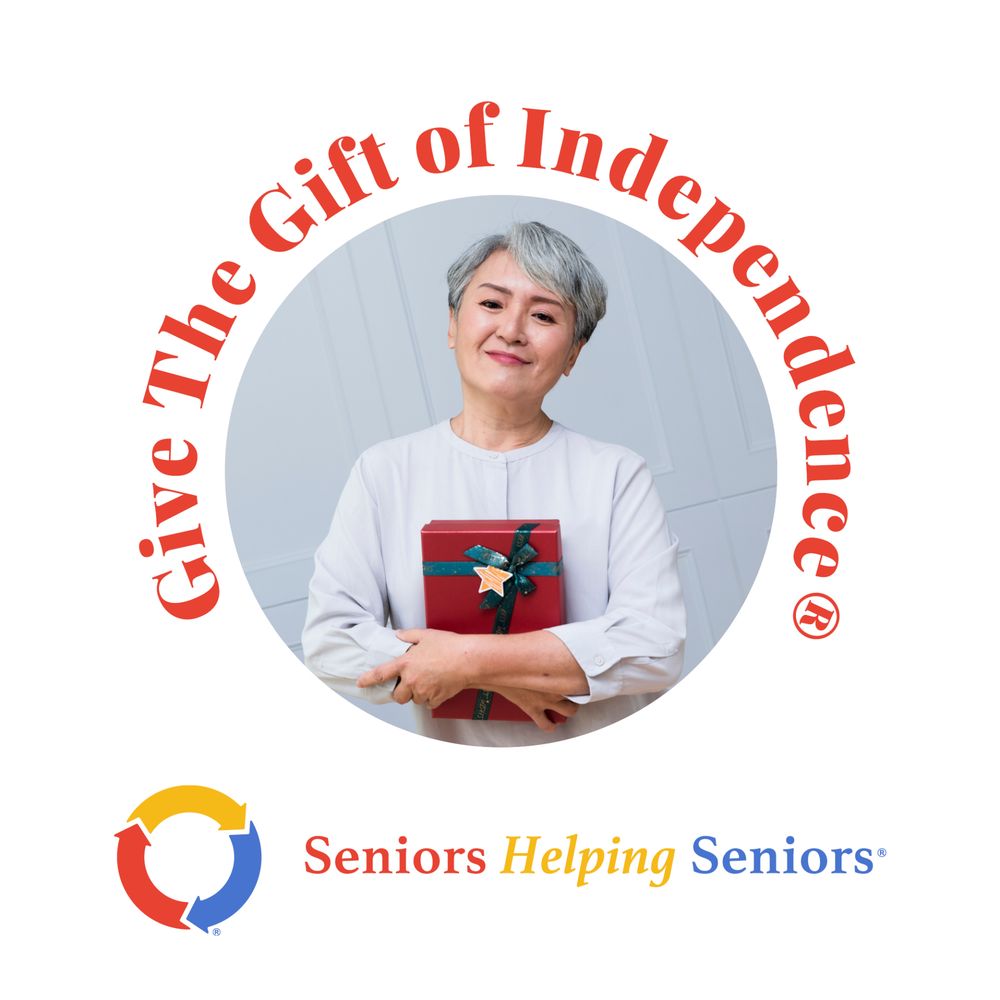 Seniors Helping Seniors - home care agency in Chicago, IL
