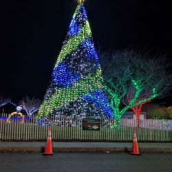Winterfest Of Lights